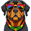 Rastafari Dog