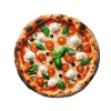 Neapolitan Pizza