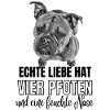 Bulldog Old English Bulldog Hunde