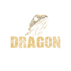 Boy bearded dragon king