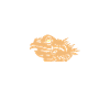 Bearded dragon have feelings too