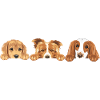 Cute peeking dogs