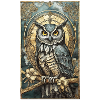 Magic Owl