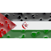 Gift for Western Sahara