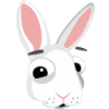 Tête de lapin lapin drôle