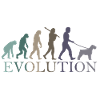L’ÉVOLUTION DU SCHNAUZER