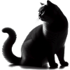 BKH Silhouette noir