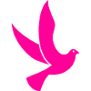 pinke Friedenstaube