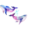 Two rainbow whales/cetaceans
