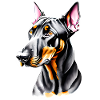 Doberman Dog Illustration