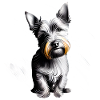 Australian Terrier puppy