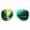 Sunglasses / Reflection / Forest / Reflection