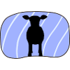 Cow Bull Moo