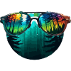 Sunglasses / Reflection / Forest / Reflection