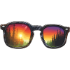 Sunglasses / Reflection / Forest / Reflection