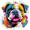 Cool English Bulldog