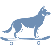 Dog Shepherd Skateboard Skateboarder