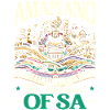 Amapiano Mélomane sud-africain Afrobeat