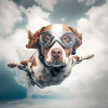 Flying Dog