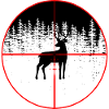 Hunting Hunter