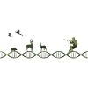 DNA Hunting Camouflage Pattern