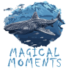 Plongeur Plongeur Waleshark Requin-baleine