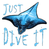 Diver Manta Ray Diver