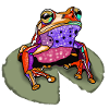 Bunter Frosch auf Seerose