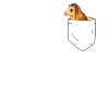 Shetland Pony In Chest Pocket