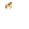 Shetland Pony Herzschlag