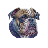 J’aime mon bouledogue anglais