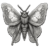 Moth / animal / insect / larva / pest