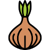 Onion