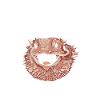 Le chuchoteur de dragon barbu