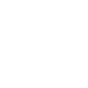 Elephant Thailand