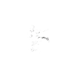 Karate Dad