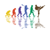 Karaté Évolution