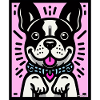 Mignon Frenchie - Rose