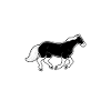 Pferde Pferd Ritersport Geschenk