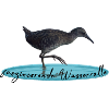 Water Rail Rail
