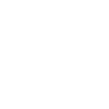 cute chubby cat