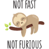 Not Fast, Not Furious