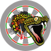 Dartboard with snake