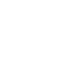 Année du Dragon 2024