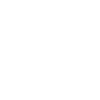 Année du Dragon 2024