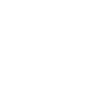 Année du Dragon 2024