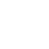 Année du Dragon 2024