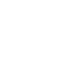 Année du Dragon 2024