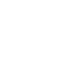 Year of the Dragon 2024