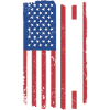 Reader Us Flag Reading